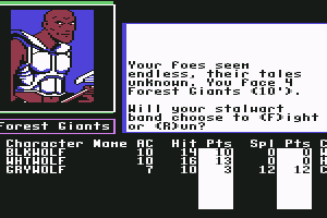 The Bard's Tale II: The Destiny Knight 9